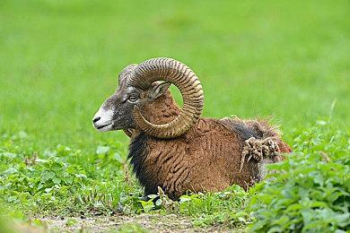 《星鸣特攻》赔了4亿不叫事？SIE为第一方游戏扩招DEI人士